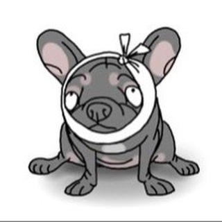 Telegram group profile photo for Ветеринарная клиника «10 Жизней»