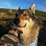 Telegram profile photo for 火箭燃燒彈-加密宇宙霸主