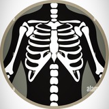 Telegram profile photo for X-Ray Cases For Undergraduate
