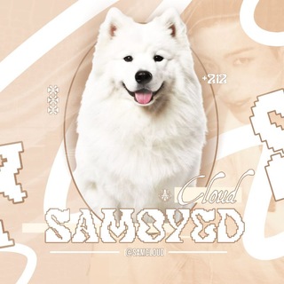 Telegram profile photo for Luminous: SAMCLOUDS.