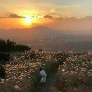 Telegram profile photo for Barchasi psixologiya haqida