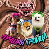 Telegram profile photo for ЛУЧШАЯ ТРОИЦА💗🐾