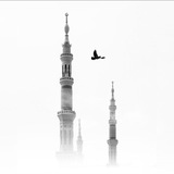 Telegram profile photo for مُريد