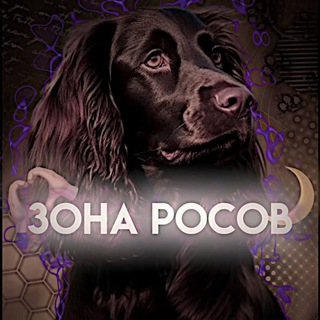 Telegram profile photo for зона росов 🔪