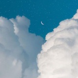 Telegram profile photo for زهور تُكتب 🌷