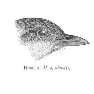 Telegram profile photo for Иван Лужков