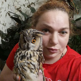 Telegram profile photo for От яйца до пера с Лучиком.