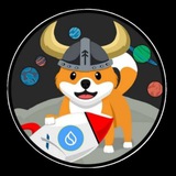 Telegram profile photo for Sui Floki CEO