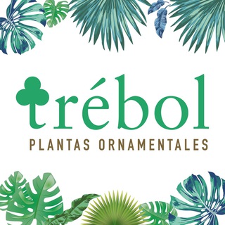 Telegram profile photo for Trébol_Plantas ornamentales