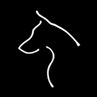 Telegram profile photo for 📷 DOGUPFOTO
