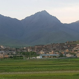 Telegram profile photo for کانال خبری وردآوردعلیا