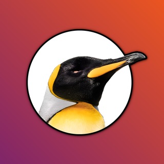 Telegram profile photo for Canal atareao