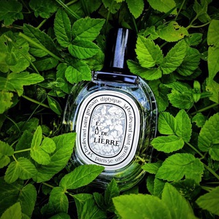 Telegram profile photo for Распив Юлькиного шкафа 🍸🍾