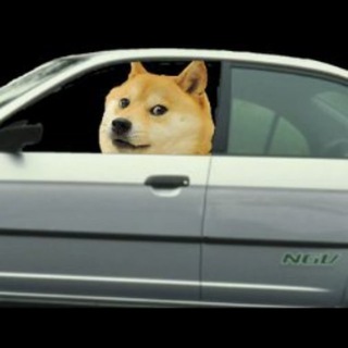 Telegram group profile photo for memes - a gently used 20021 honda civic