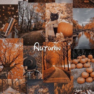 Telegram profile photo for 🍁Autumn vibe✨️🎃