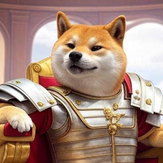 Telegram profile photo for Shibius - Portal