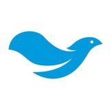 Telegram profile photo for Solidarity with Uzbekistan