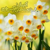 Telegram profile photo for موسسه قرآنی زینبیه کلاته خیج