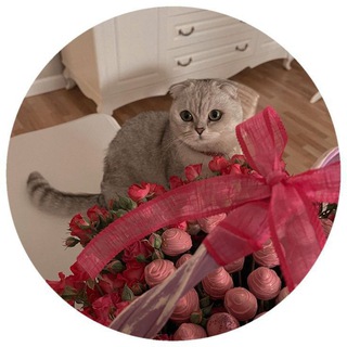 Telegram profile photo for 𝒇𝒐𝒓 𝒎𝒂𝒓𝒊𝒂 🍓🎀