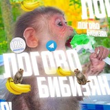 Telegram profile photo for логово бибизян