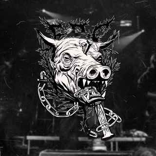 Telegram profile photo for FBC