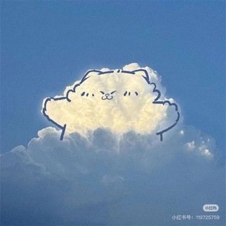Telegram profile photo for CDC风俗评鉴指南