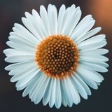 Telegram profile photo for Верю - не верю
