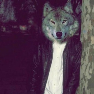 Telegram profile photo for 3443