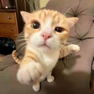 Telegram profile photo for 117公益三角洲/暗区通知频道