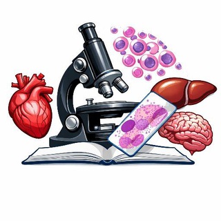 Telegram profile photo for Pathology 1 / Ashraf Eljabri
