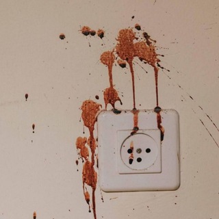 Telegram profile photo for The Slaughter 710