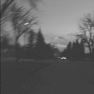 Telegram profile photo for Paradise of Melancholia