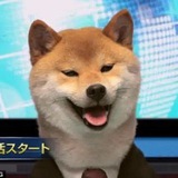 Telegram profile photo for The Paw Report: Dogpill News