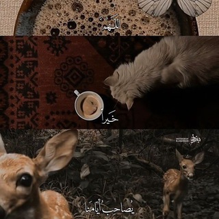 Telegram profile photo for ﴿وَاذْكُر رَّبَّكَ﴾