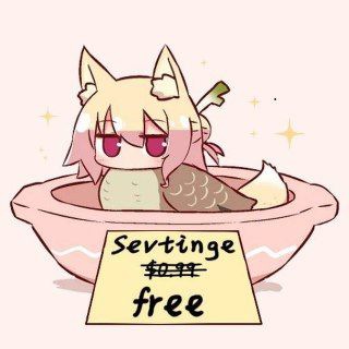 Telegram group profile photo for Sevtinge's Nest
