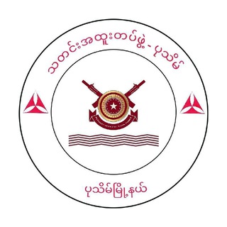 Telegram profile photo for သတင်းအထူးတပ်ဖွဲ့ - PATHEIN