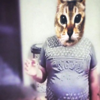 Telegram profile photo for kиткат