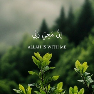 Telegram profile photo for تحفيزات إيجابية