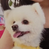 Telegram profile photo for переходник