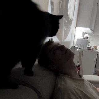 Telegram profile photo for lønk / рест
