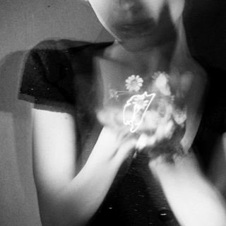 Telegram profile photo for Acervo Ariana Mídias