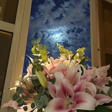 Telegram profile photo for شُونه