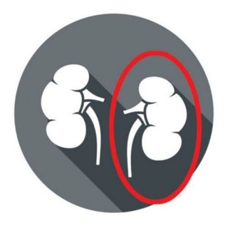 Telegram profile photo for Chronic Kidney Disease