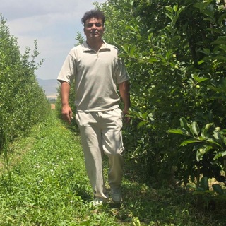 Telegram profile photo for سولدوز تاج(حاجی زاده)