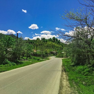 Telegram profile photo for کیش رودبار