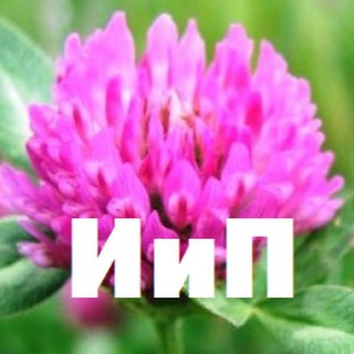 Telegram profile photo for Интересно и познавательно (ИиП)