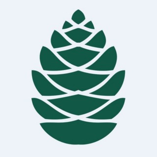 Telegram profile photo for IШИШКА