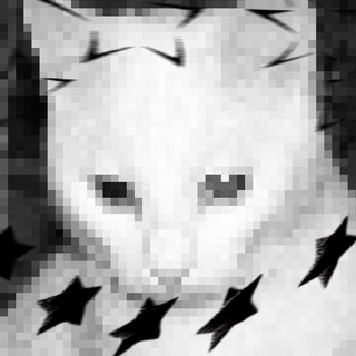 Telegram profile photo for ⁺‧₊°. ⋆༺гост ин зе шелл༻⋆. °₊‧⁺