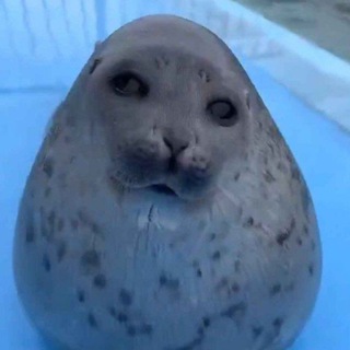 Telegram profile photo for инсайды от инсайда