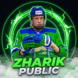 Telegram profile photo for Zharik Public 🏒💚